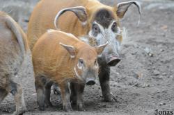 Zoo Berlin