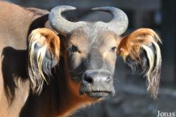 Zoo Berlin