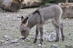 Zoo Berlin