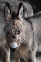 Zoo Berlin