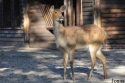 Zoo Berlin