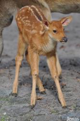 Zoo Berlin