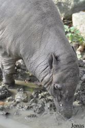 Zoo Berlin