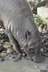 Zoo Berlin