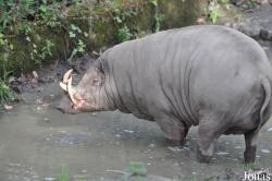 Zoo Berlin