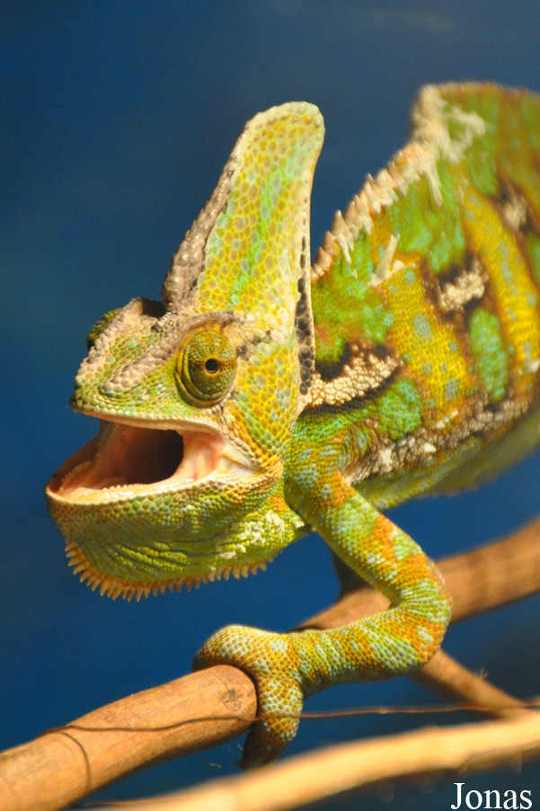 Crocopark Guangzhou