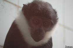 Shanghai Zoo