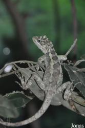 Crocopark Guangzhou