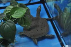 Crocopark Guangzhou