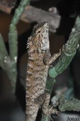 Crocopark Guangzhou