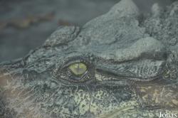 Crocopark Guangzhou