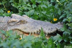 Crocopark Guangzhou