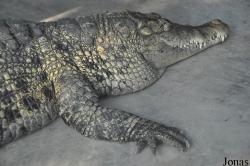 Crocopark Guangzhou