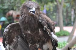 Xiangjiang Safari Park Guangzhou