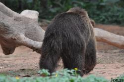 Xiangjiang Safari Park Guangzhou