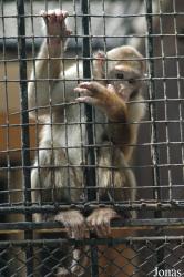 Shanghai Zoo