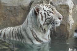 Xiangjiang Safari Park Guangzhou