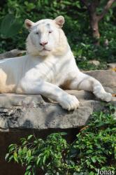 Xiangjiang Safari Park Guangzhou