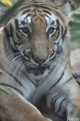 Xiangjiang Safari Park Guangzhou