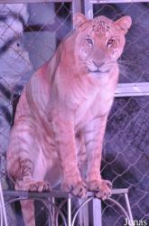 Xiangjiang Safari Park Guangzhou