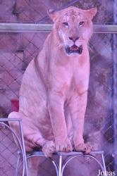 Xiangjiang Safari Park Guangzhou