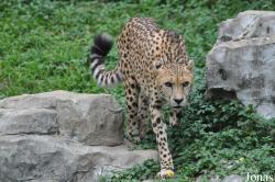 Xiangjiang Safari Park Guangzhou