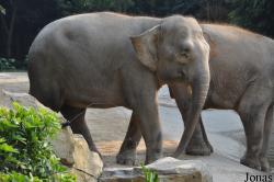 Xiangjiang Safari Park Guangzhou