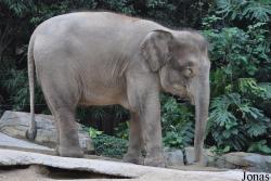Xiangjiang Safari Park Guangzhou