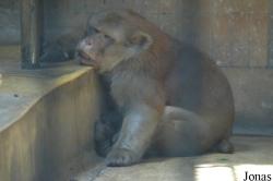 Shanghai Zoo