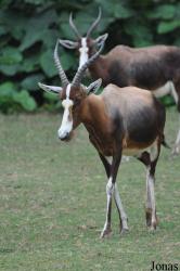 Xiangjiang Safari Park Guangzhou