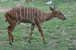 Xiangjiang Safari Park Guangzhou