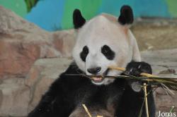 Xiangjiang Safari Park Guangzhou