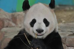 Xiangjiang Safari Park Guangzhou