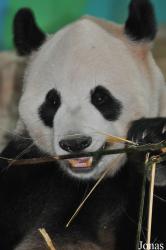 Xiangjiang Safari Park Guangzhou