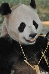 Xiangjiang Safari Park Guangzhou
