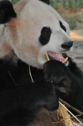 Xiangjiang Safari Park Guangzhou