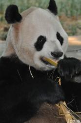 Xiangjiang Safari Park Guangzhou