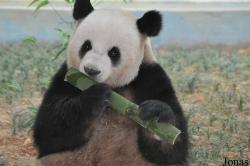 Xiangjiang Safari Park Guangzhou