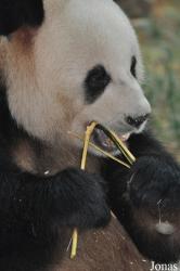 Xiangjiang Safari Park Guangzhou