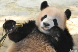 Xiangjiang Safari Park Guangzhou