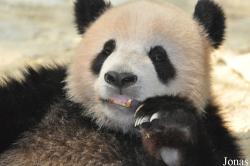 Xiangjiang Safari Park Guangzhou