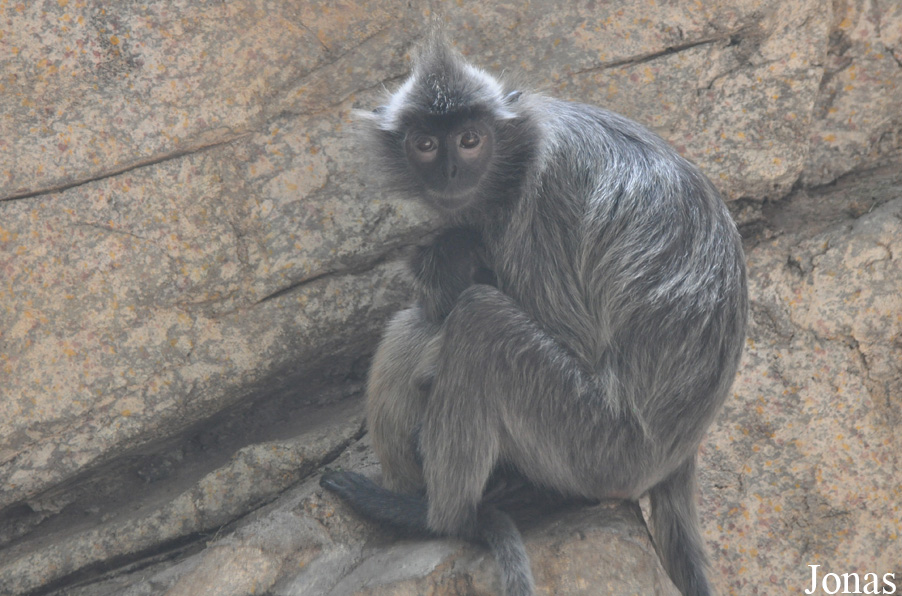Xiangjiang Safari Park Guangzhou