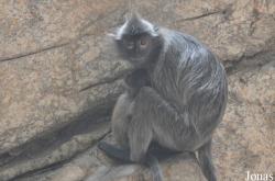 Xiangjiang Safari Park Guangzhou