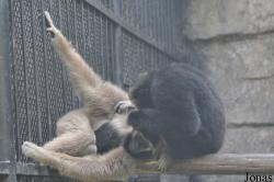 Xiangjiang Safari Park Guangzhou