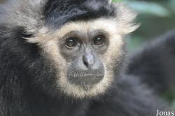 Xiangjiang Safari Park Guangzhou