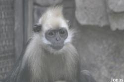 Xiangjiang Safari Park Guangzhou