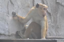 Xiangjiang Safari Park Guangzhou