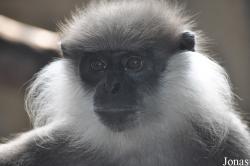 Xiangjiang Safari Park Guangzhou