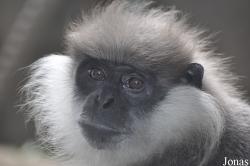 Xiangjiang Safari Park Guangzhou