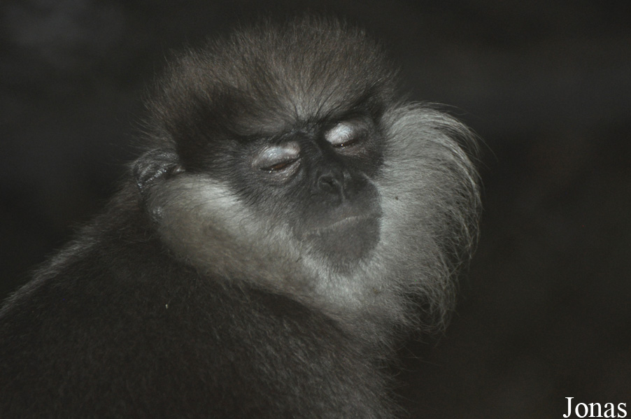 Xiangjiang Safari Park Guangzhou